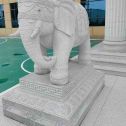山南 白麻花岗岩动物异形石雕-大象