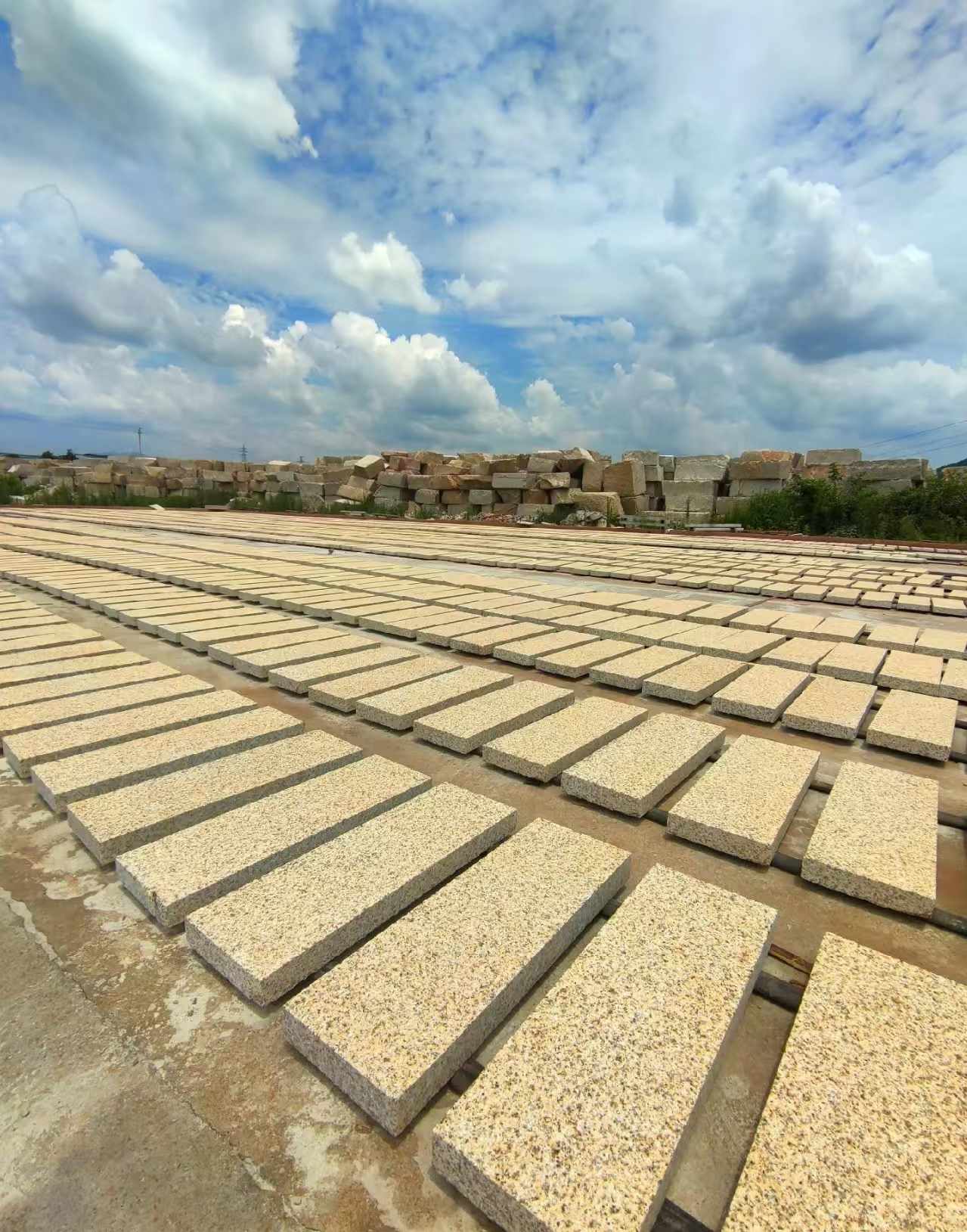 山南 黄金麻荔枝面花岗岩石材地铺石防护中