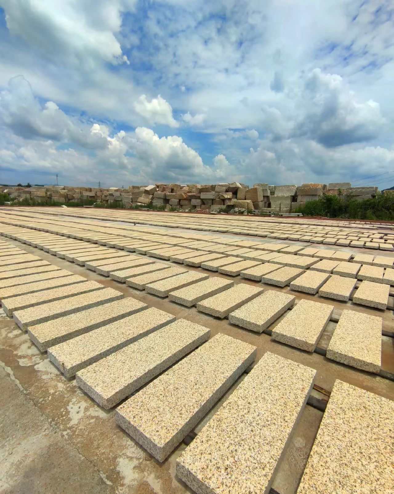 山南 黄金麻花岗岩荔枝面地铺石防护中